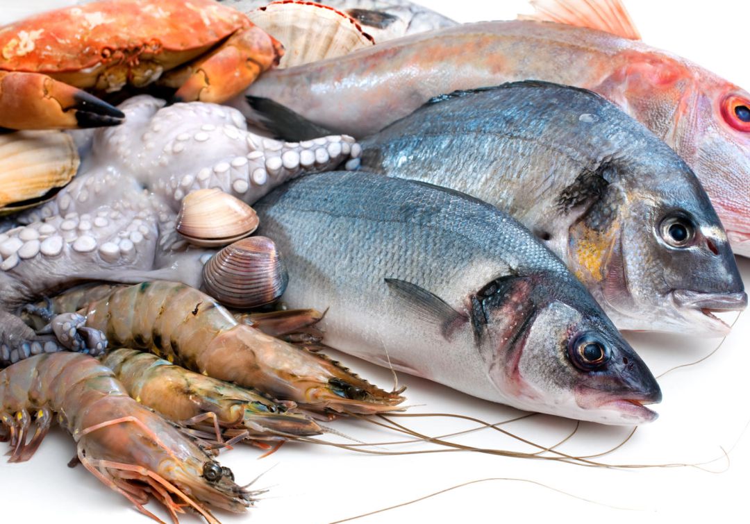 Conozca los precios de los pescados