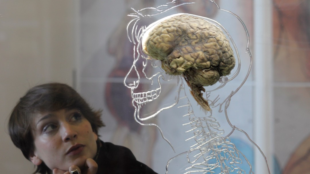 ¿Cómo ejercitar el cerebro?