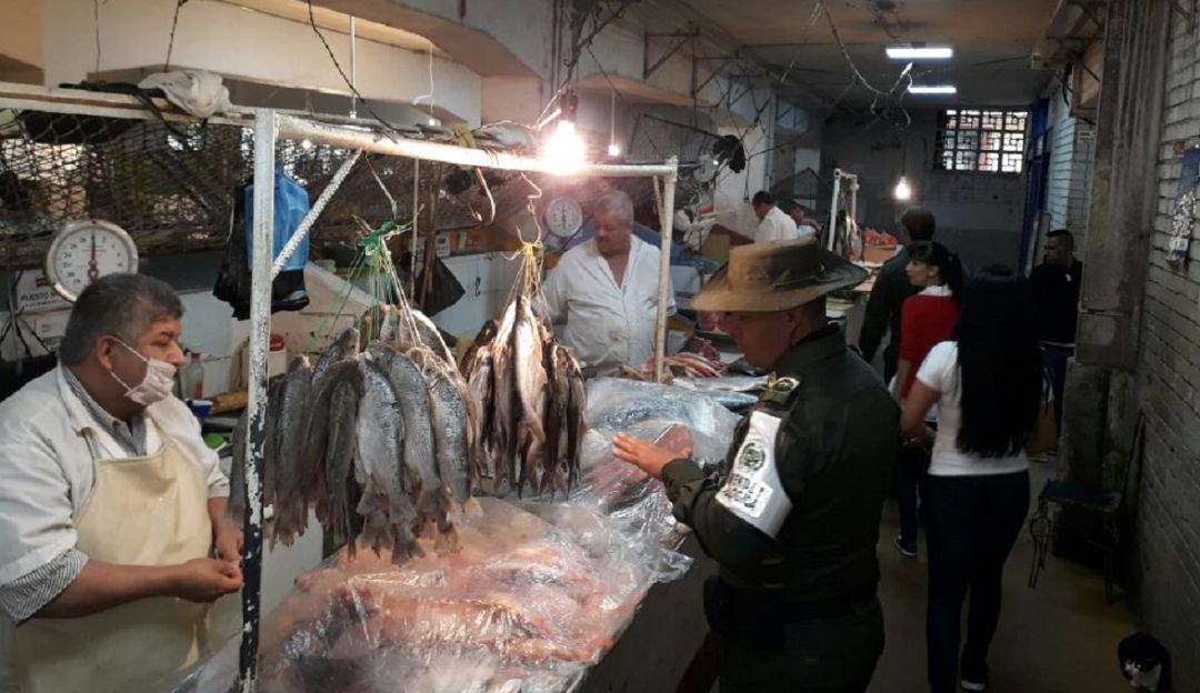 Consumo de pescado en Ibague: Recomendaciones a la hora de comprar pescado en Ibagué
