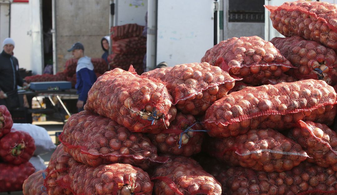 Soluciones para la hambruna: Proponen soluciones para alimentar a 10.000 millones de terricolas en 2050
