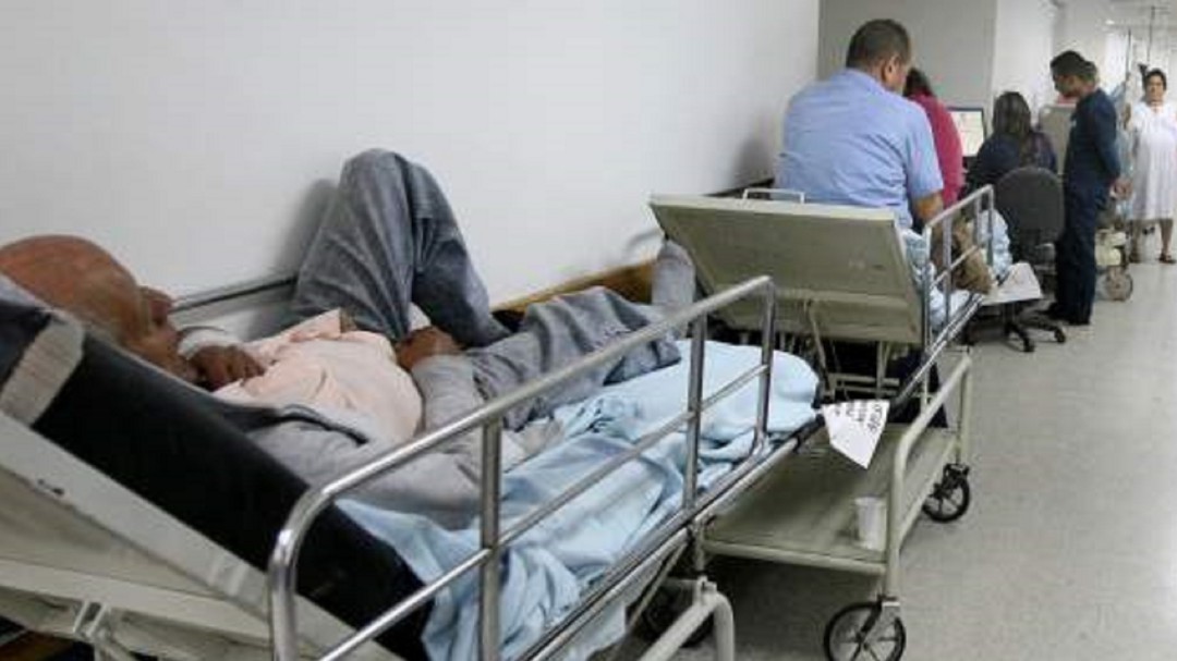 "Candida Auris", el hongo que prende las alarmas en el mundo de la salud