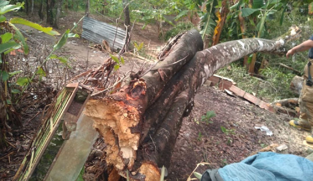 Emergencias en Tolima: Varias emergencias por el invierno en Carmen de Apicalá, Tolima