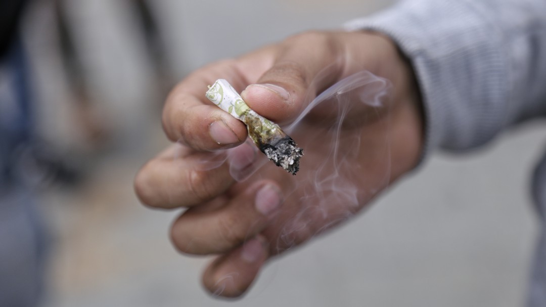 Cae media tonelada de marihuana en el Tolima