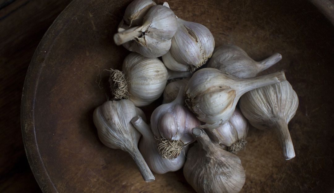 Consumo de ajo: Descubren que el ajo es bueno para la memoria