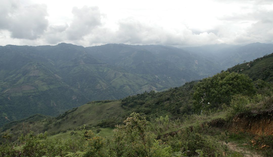 ONU alerta de nuevo sobre confinamiento por combates en el Chocó
