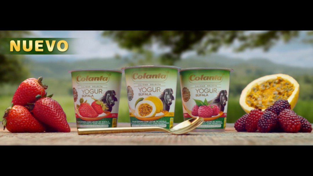 Conozca el nuevo Yogur de Búfala de Colanta