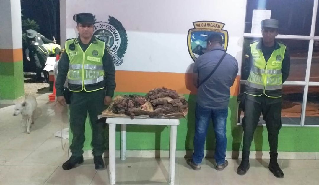 hicotea: Capturan un hombre por comercializar carne de hicotea en Cartagena