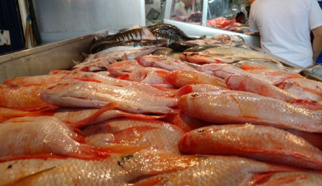 Consumo de pescado en Semana Santa