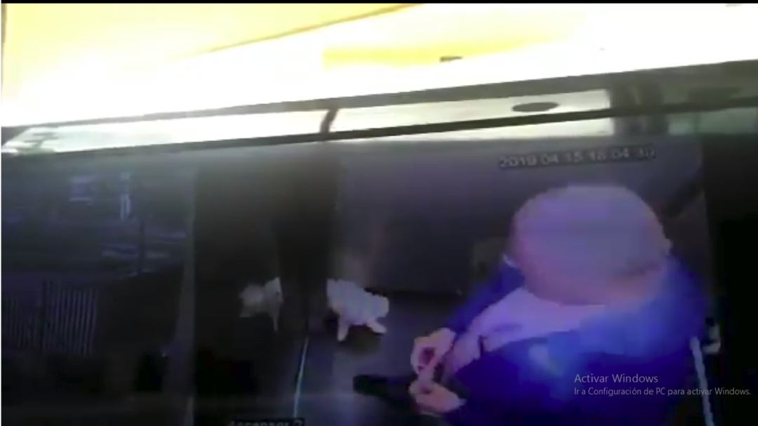 Denuncian penalmente a funcionario de ONU que maltrató a un canino