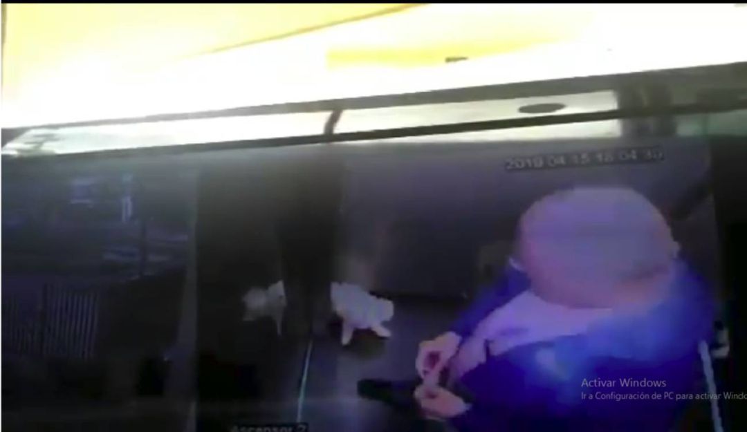 La Policía ubicó en Pasto al agresor de una mascota