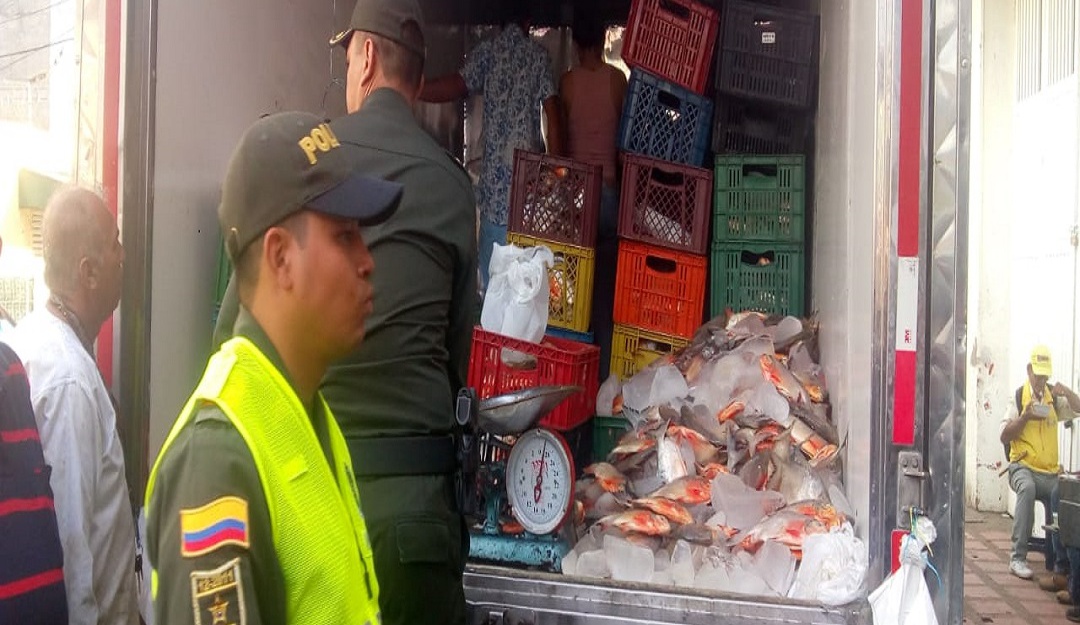 Incautación de comida: Pescado de mala calidad es incautado en Ibagué