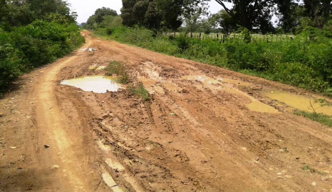Judiciales Asesinato Turbana Bolívar: Por 150 mil pesos matan a un hombre en zona rural de Turbana, Bolívar