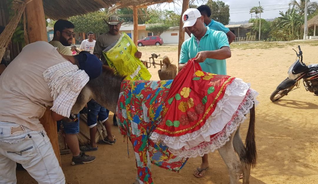 Festivales en Montería: Apuestas novedosas en el "Festival del Burro"
