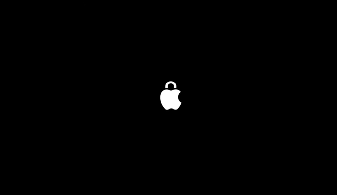 Privacidad de Apple: ¿El "as bajo la manga" de Apple?