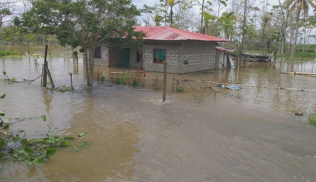 invierno; lluvias; chigorodó; antioquia: Emergencia invernal en Chigorodó deja 35 familias daminificadas