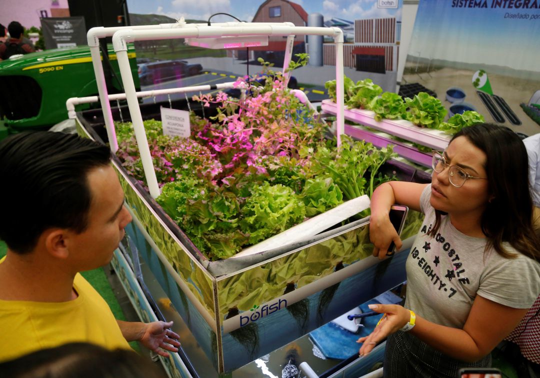 ¿Por qué no despega la agroecología en el mundo?
