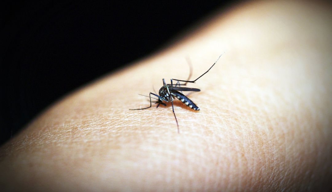 Coronavirus en el Cauca: Alerta en Timbiquí por casos positivos de coronavirus y malaria