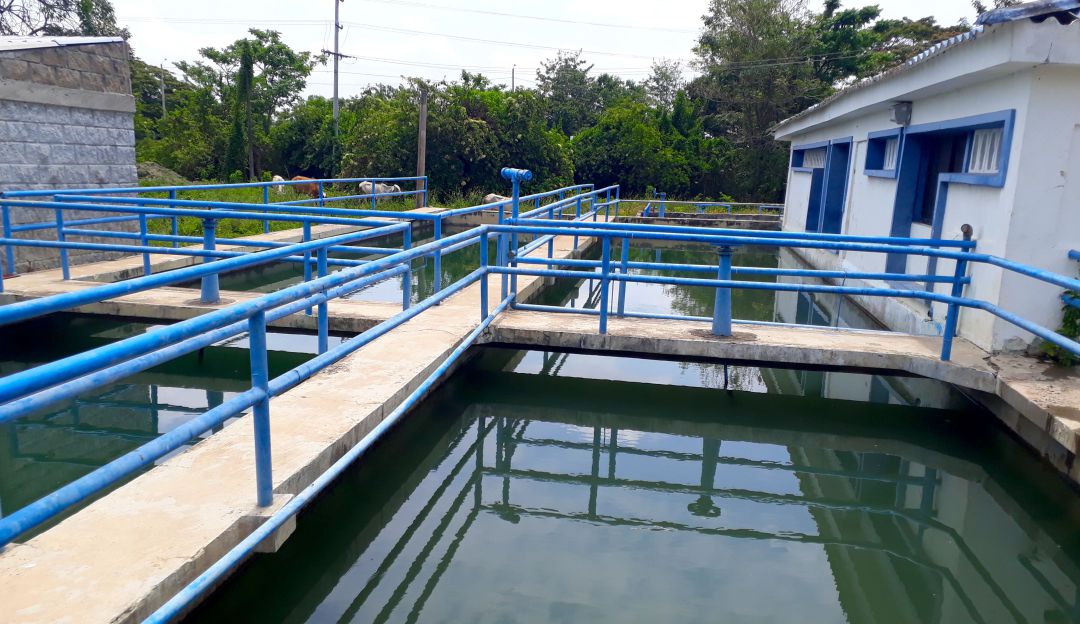 Servicios públicos: Por decreto se sancionarían a los colombianos que derrochen agua