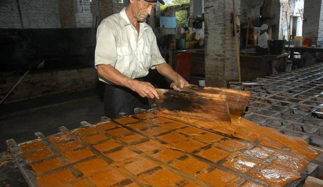 Producción de panela