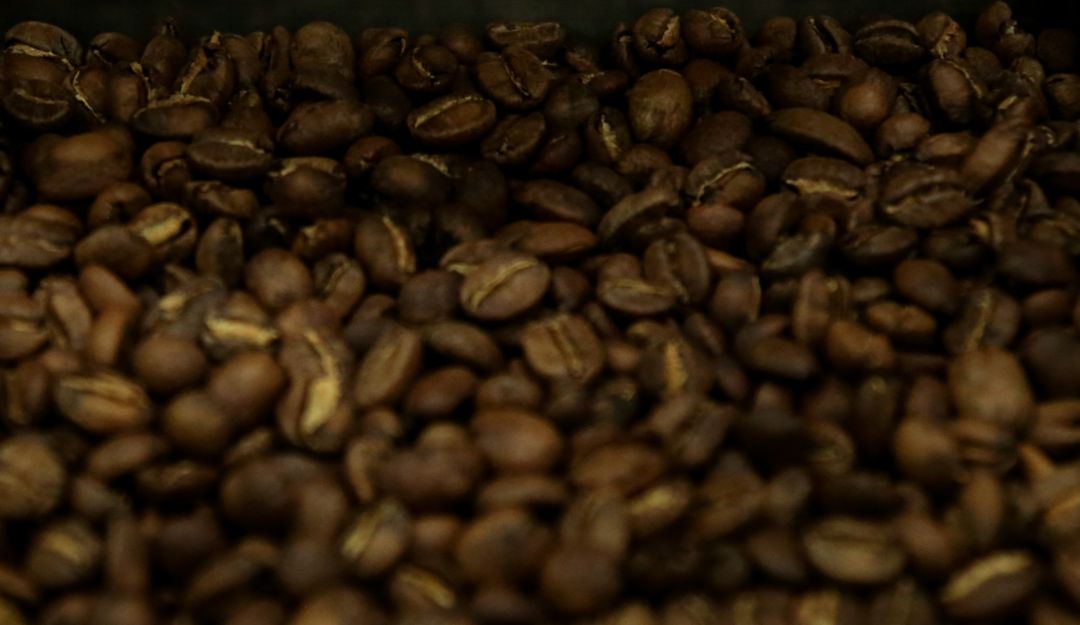 Andrés Valencia: Se fortalecen controles para el ingreso de café a Colombia