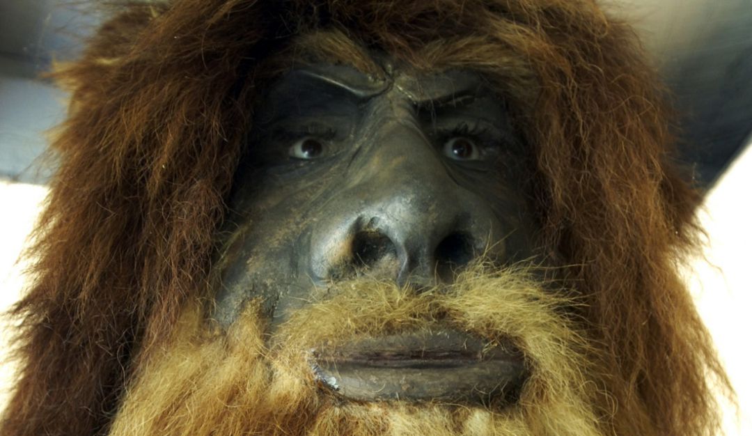 Fotos del Yeti en India: Ejército indio publica fotos de "huellas" del Yeti y estallan redes