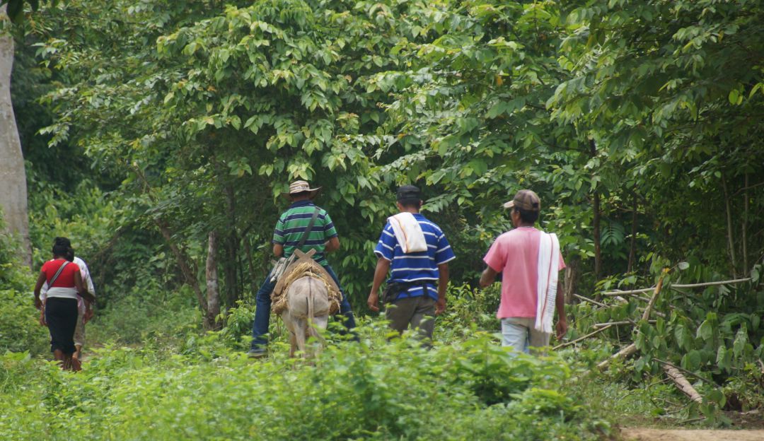 Reclamantes de tierra amenzados Urabá: Reclamantes de tierra nuevamente son amenazados en Urabá