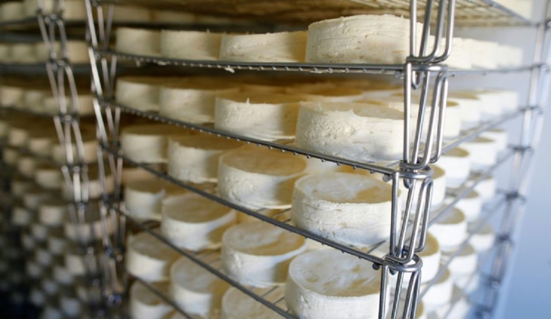 Queso camembert de Normandía