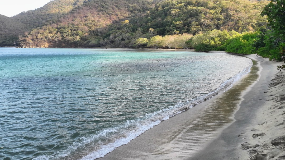 Tras más de un mes de cierre, se reabre el Sector de Bahía Concha