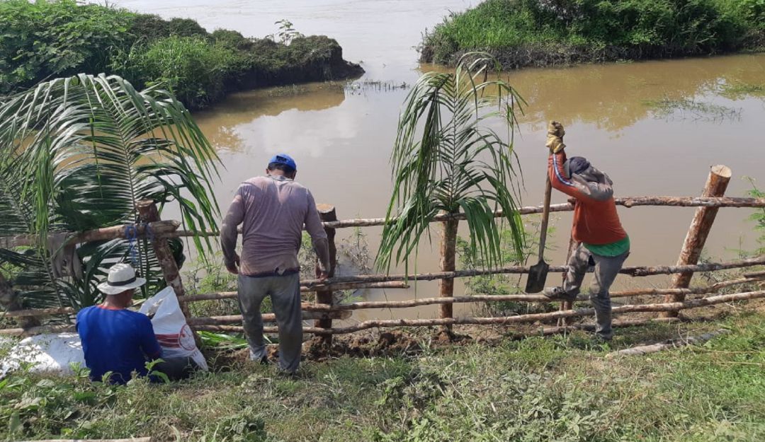 Agricultores de Majagual pueden sembrar sin temor a inundaciones