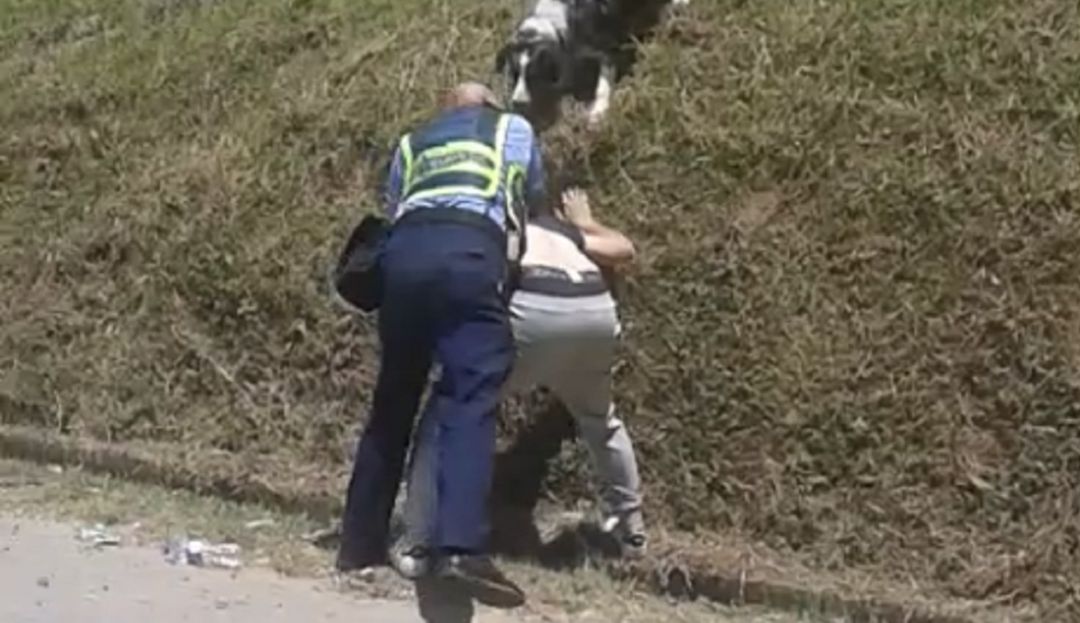 Pelea agente de tránsito y conductor, El Peñol, Antioquia: Con hacha, golpean a un guarda de tránsito en El Peñol