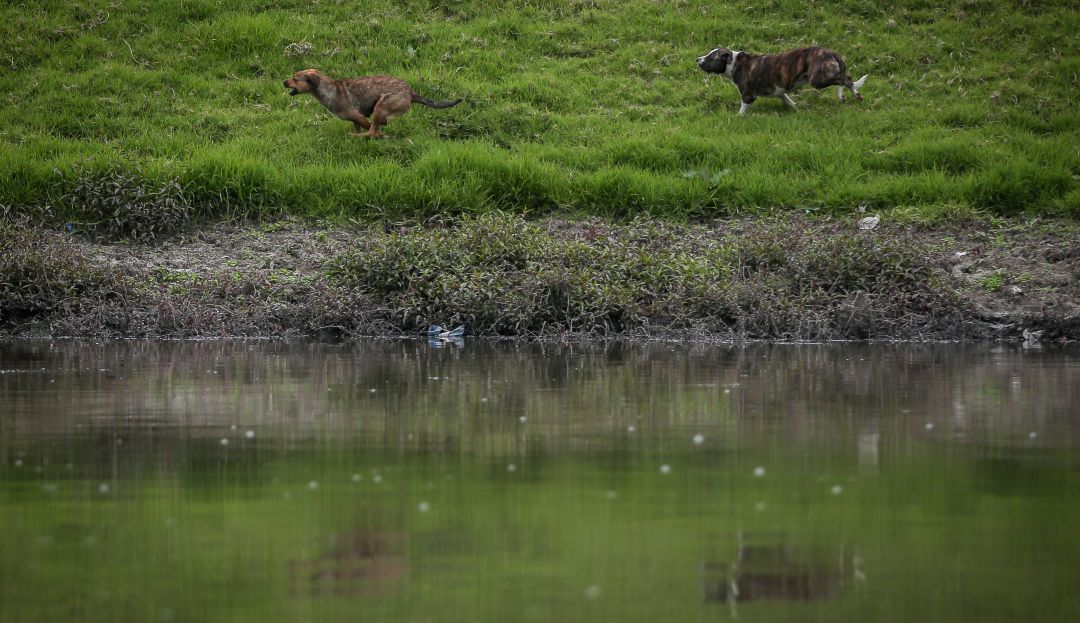 Río Bogotá: Reacciones por el futuro de la descontaminación del río Bogotá
