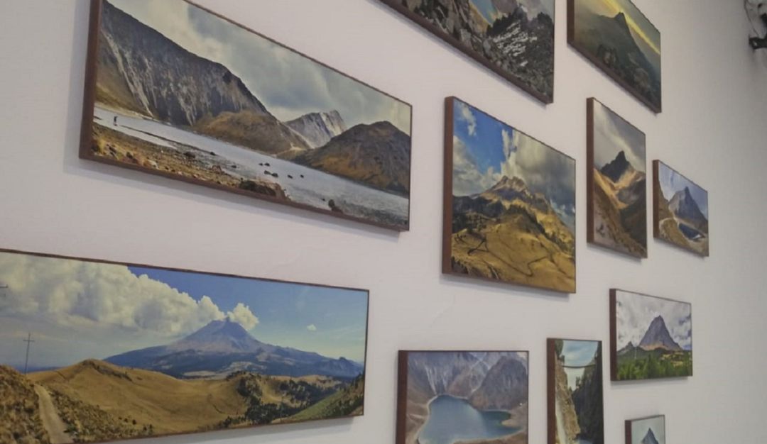 Museo de UNal abre sus puertas a la exposición que conmemora a Humboldt