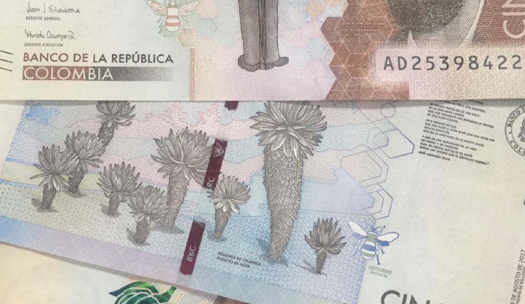Pago de impuestos predial en Tolima: Ampliaron el plazo para que los
estratos 4,5 y 6 paguen el predial