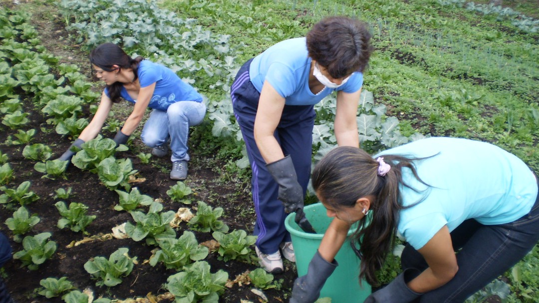 Fundases trabaja para capacitar a los campesinos