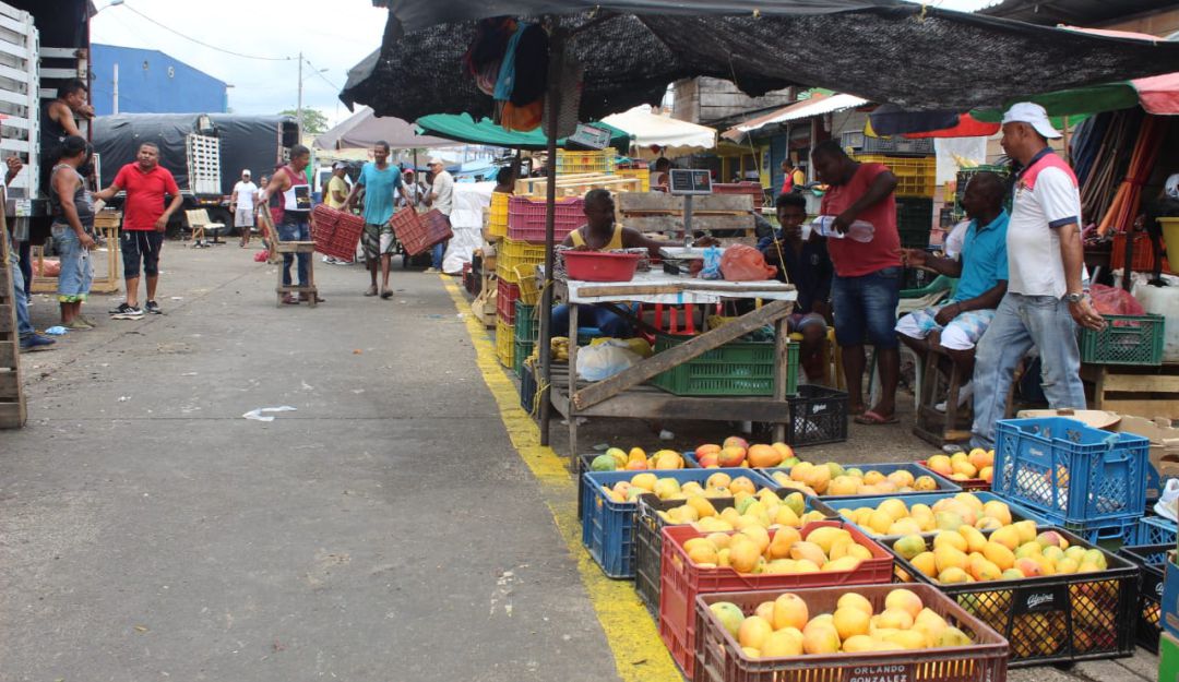 mercado de Cartagena: 210 toneladas de basuras se recogieron en limpieza del mercado de Cartagena
