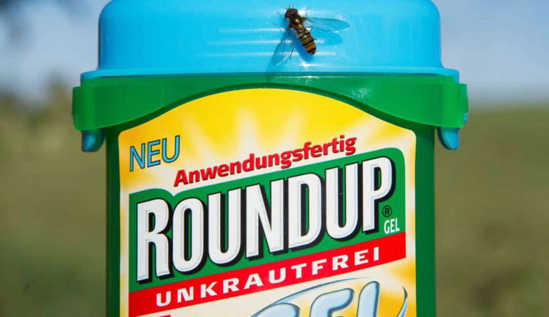 Tercer fallo contra Monsanto en EE.UU por efecto cancerígeno de glifosato