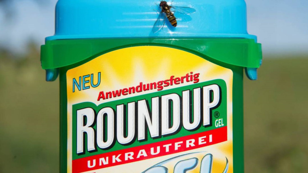 Tercer fallo contra Monsanto en EE.UU por efecto cancerígeno de glifosato