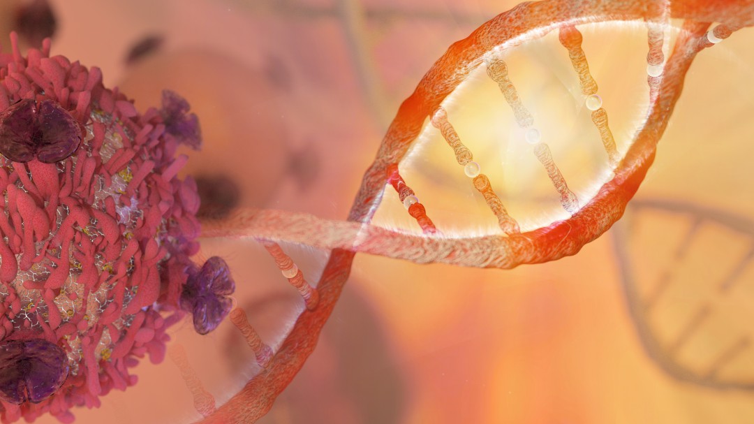 Conozca al primer organismo vivo con un código genético rediseñado