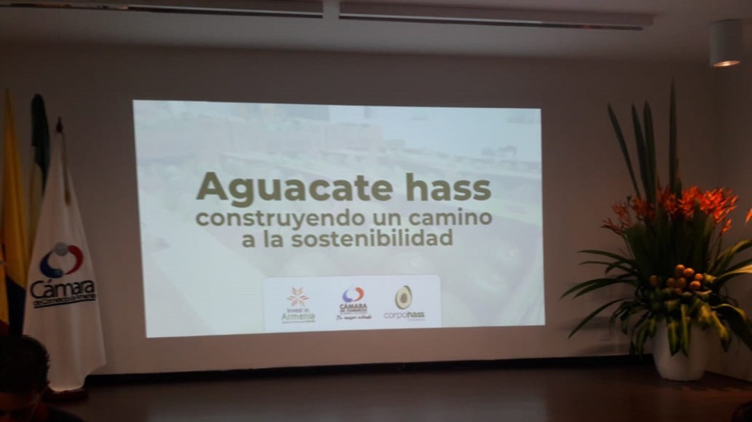En un 45% se han incrementado la exportación de aguacate Hass: CorpoHass