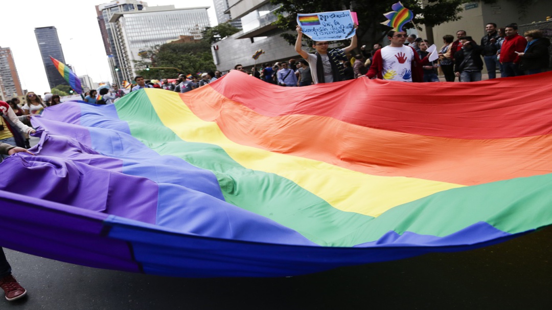 Educación: la mejor arma para disminuir la homofobia y la transfobia
