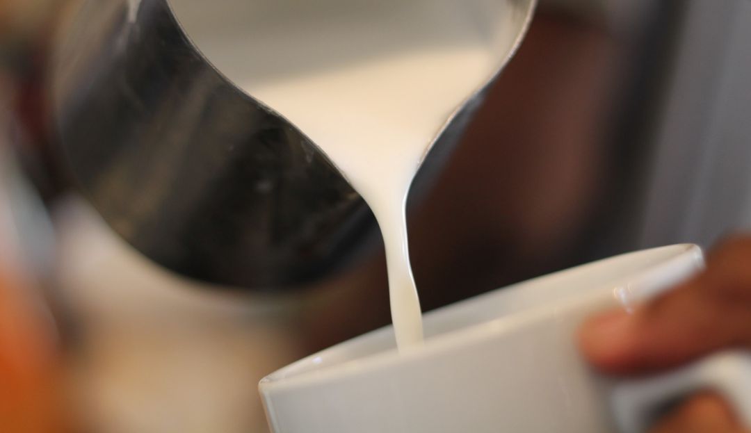 Alergia a la proteína de leche de vaca