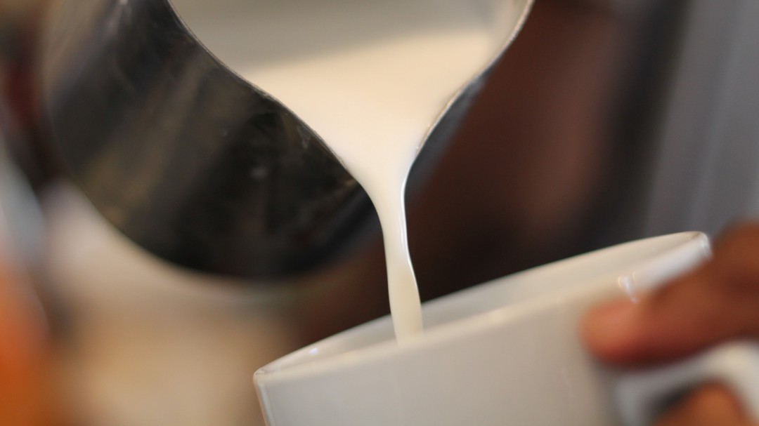 Alergia a la proteína de leche de vaca
