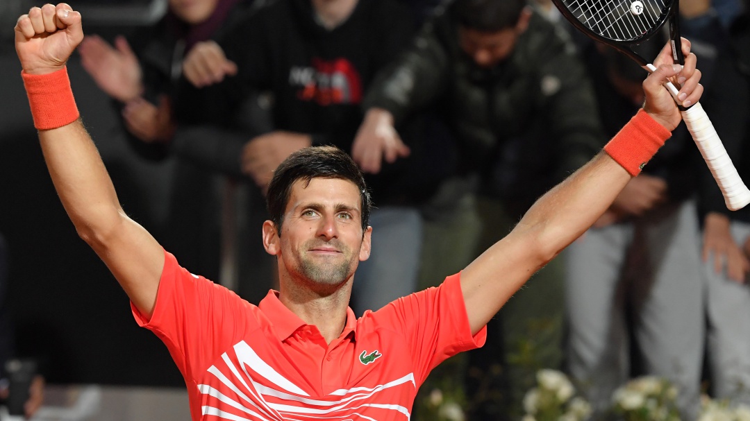Djokovic superó a Schwartzman y se medirá a Nadal por el título
