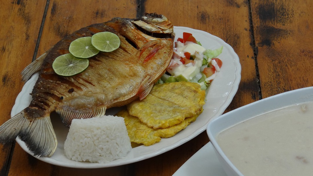 Cascadas - Pesca – Restaurante – Bar