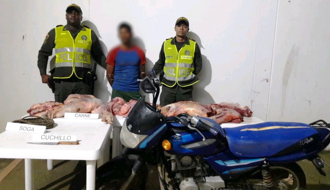 ganado en San Juan de Nepomuceno: Capturan a una persona por hurto de ganado en San Juan de Nepomuceno
