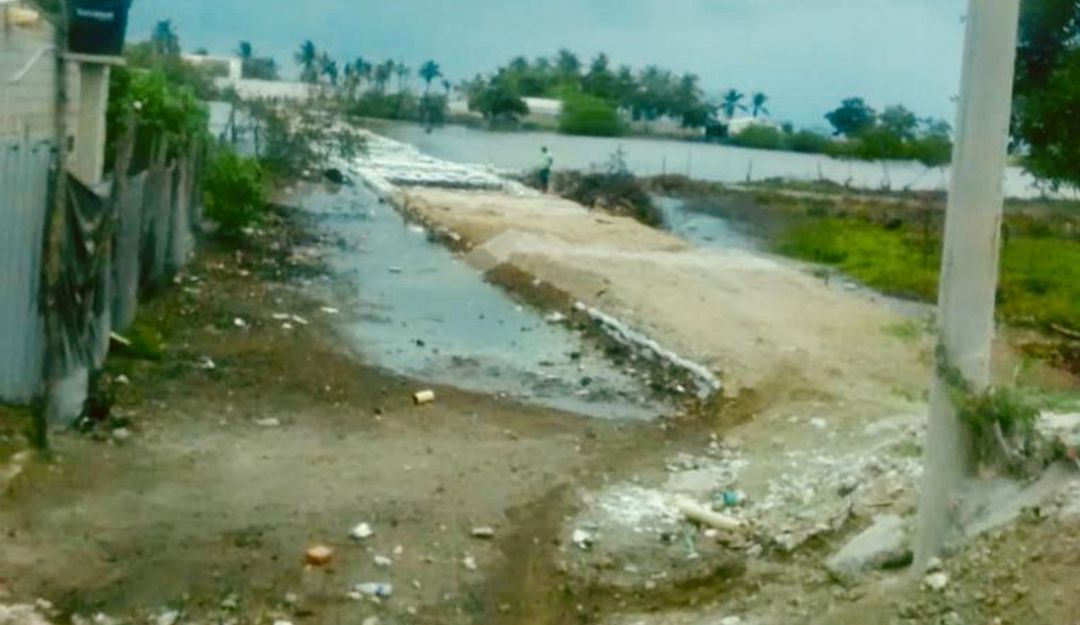 Denuncian obstrucción de humedal en la Ciénaga Grande de Santa Marta