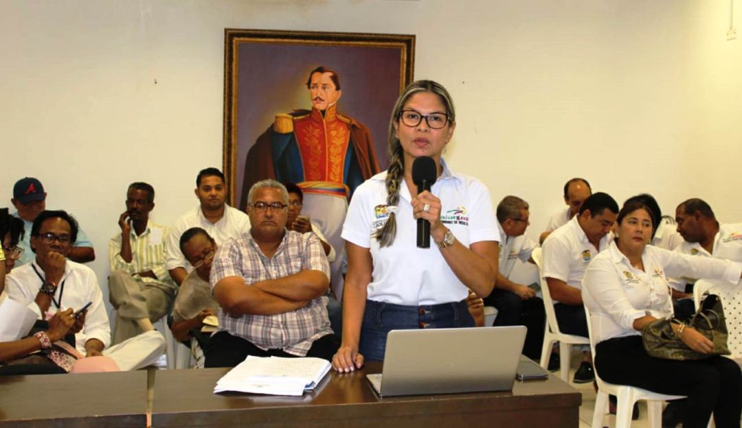 Asamblea de Bolívar: Segundo proyecto de ordenanza es estudiado en Asamblea de Bolívar