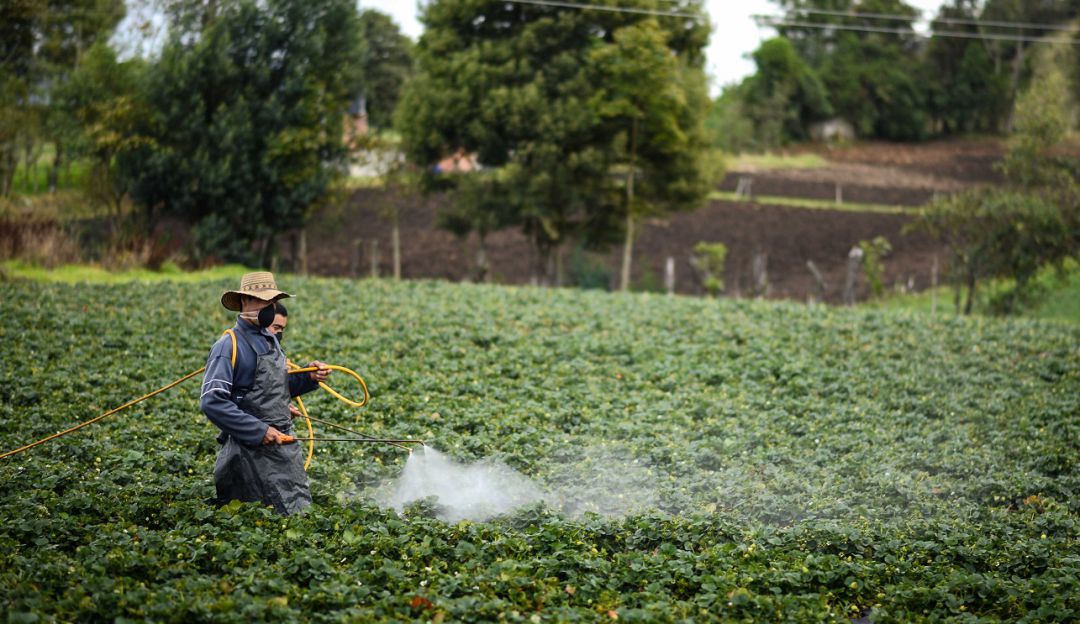 Fumigaciones en Ibagué: Hacen inspecciones a las empresas de fumigación aérea en el Tolima