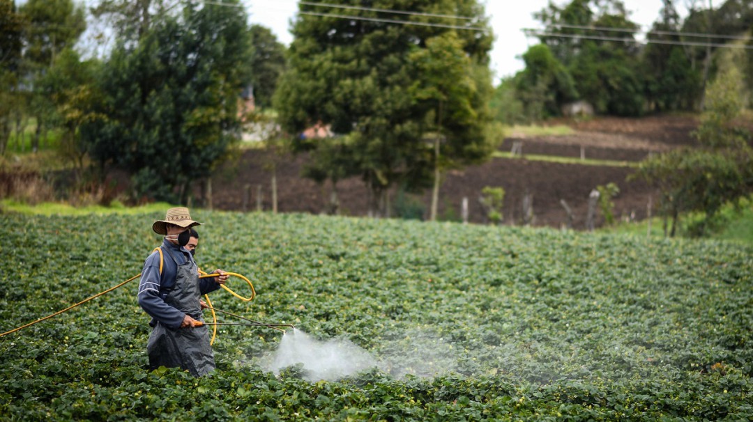 Hacen inspecciones a las empresas de fumigación aérea en el Tolima