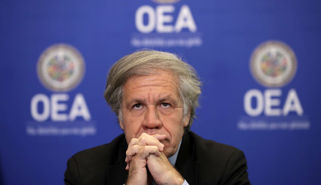 Organización de Estados Americanos: OEA: El presidente Duque ha hecho todo por mantener la paz